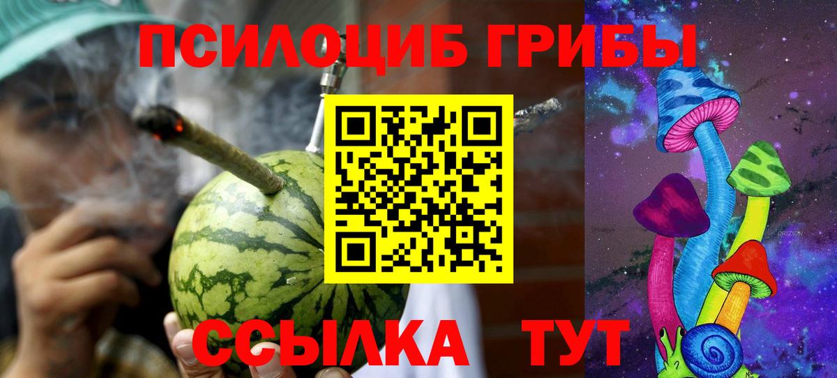 Псилоцибиновые грибы Magic Shrooms  Кореновск  сколько стоит  Галлюциногенные грибы Psilocybine cubensis 