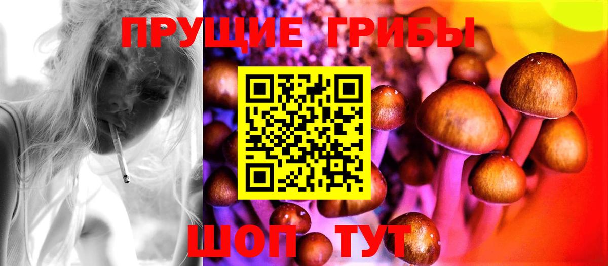купить   Вход с VPN  Кореновск  Псилоцибиновые грибы Cubensis 